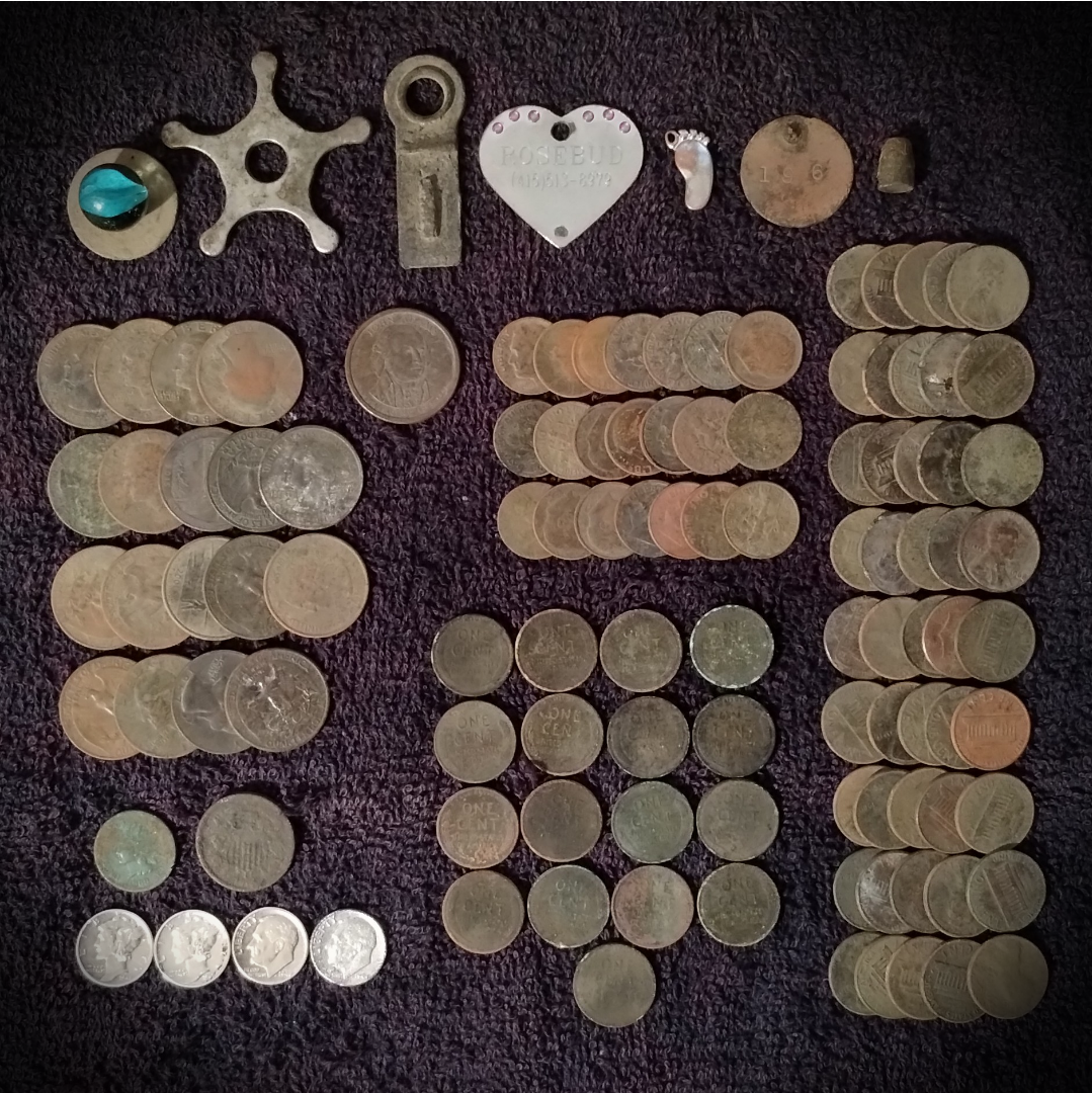 IMG_20240818_070114563-1-1.png