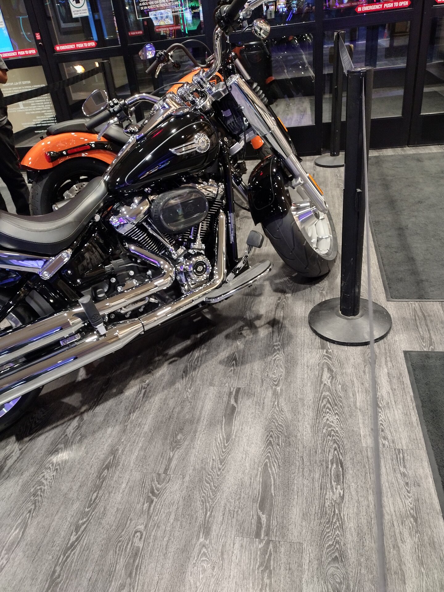 IMG_20240904_194117368_HDR.jpg