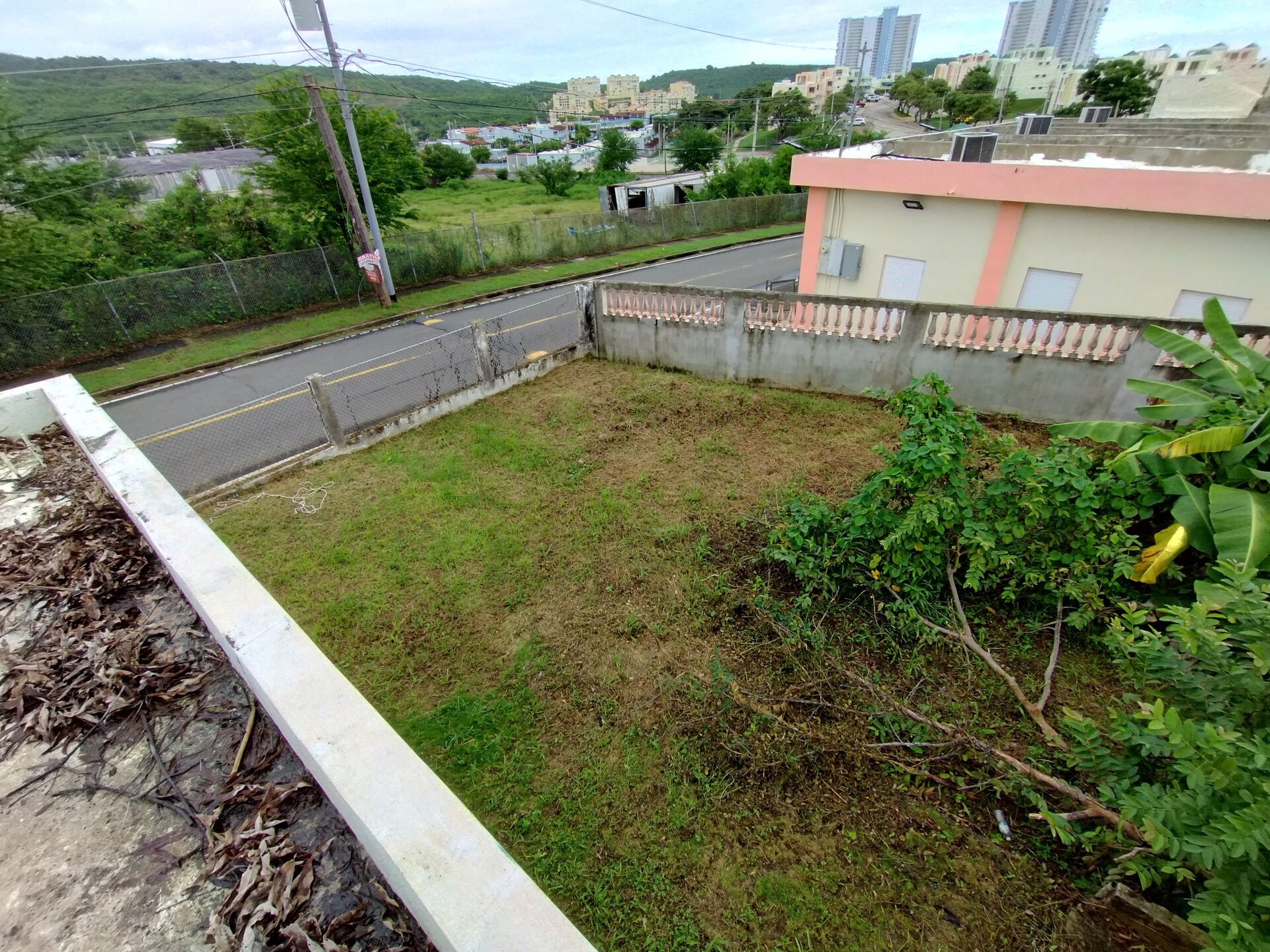 IMG_20241115_103349527_HDR.jpg