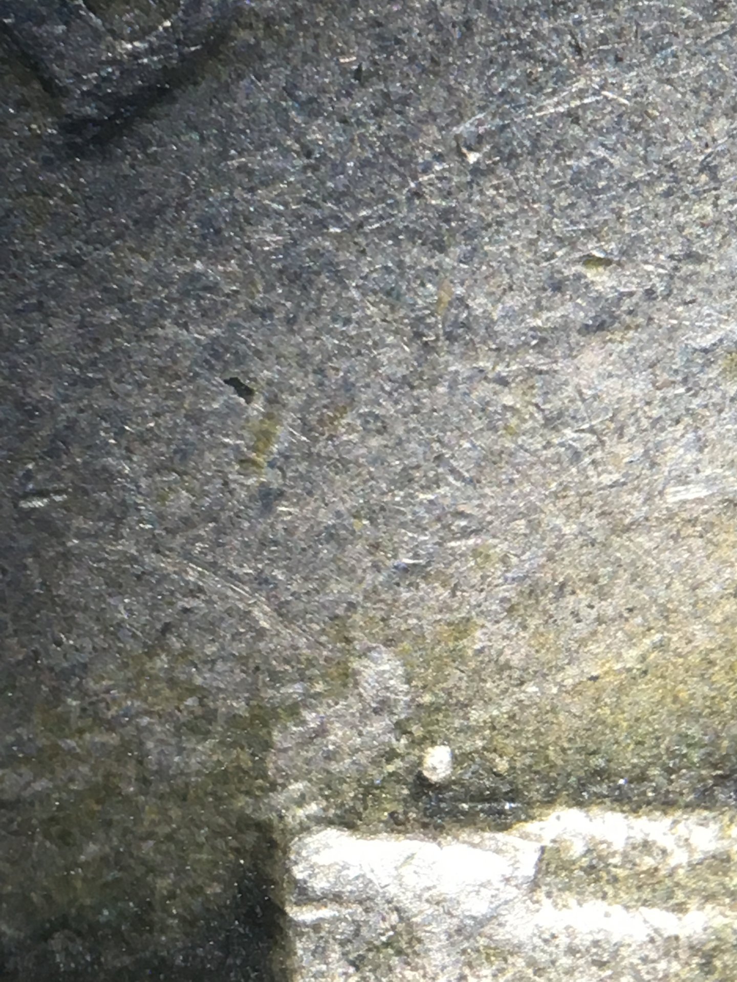 IMG_2120.jpeg