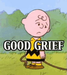 IMG_2413.GIF
