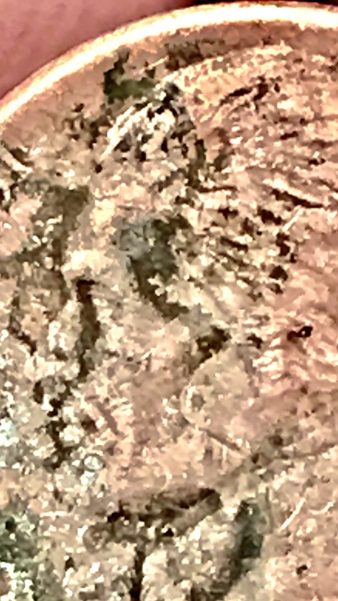 IMG_2476.PNG