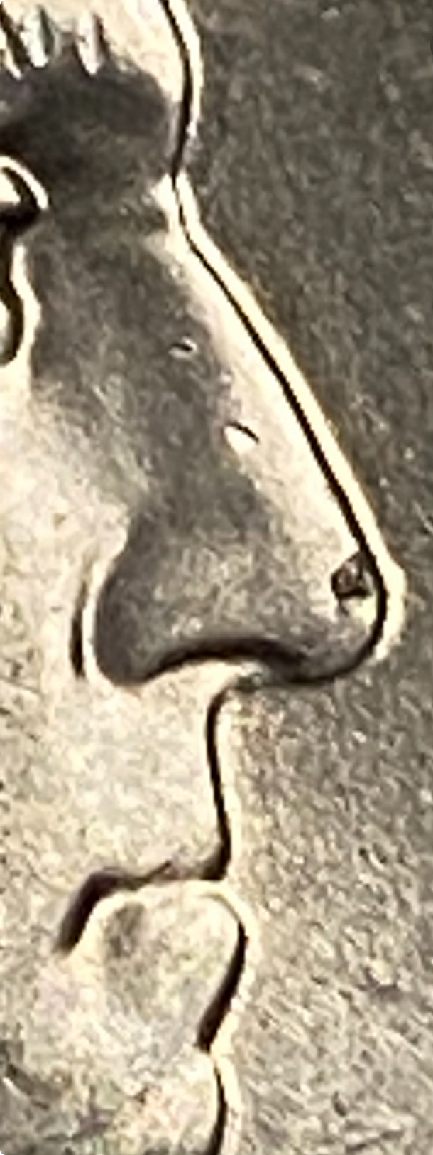 IMG_2480.jpeg