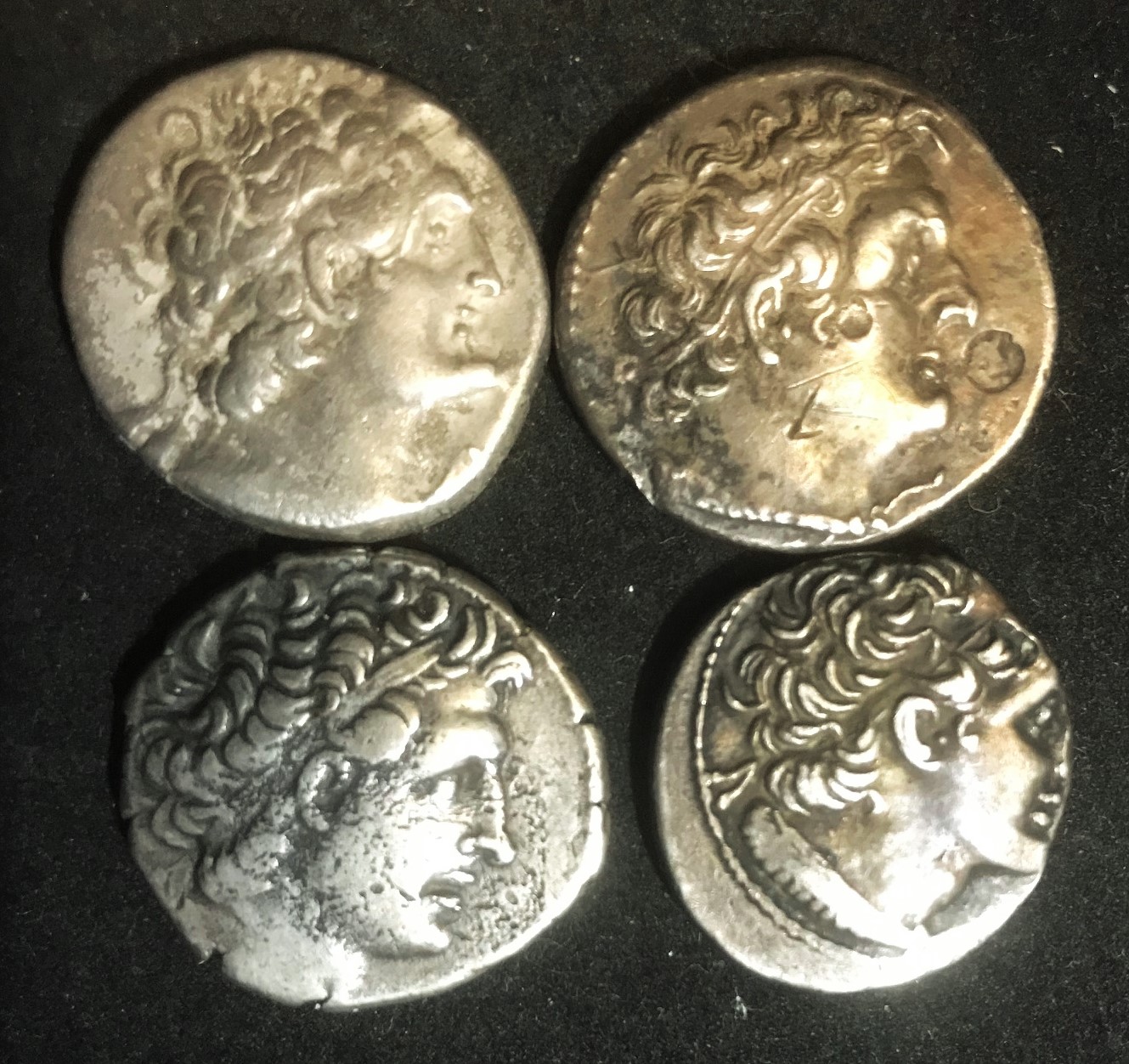 IMG_2480Ptolemies rev Y.jpg