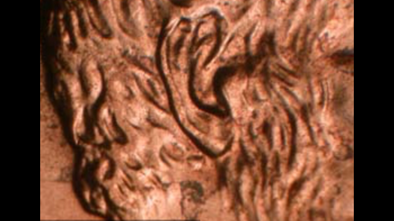 IMG_2912.PNG