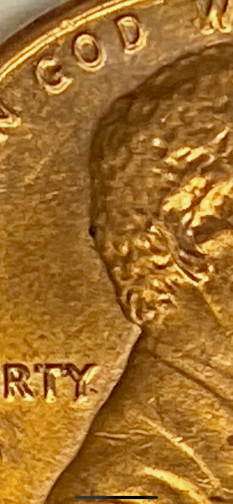 IMG_2914.jpeg