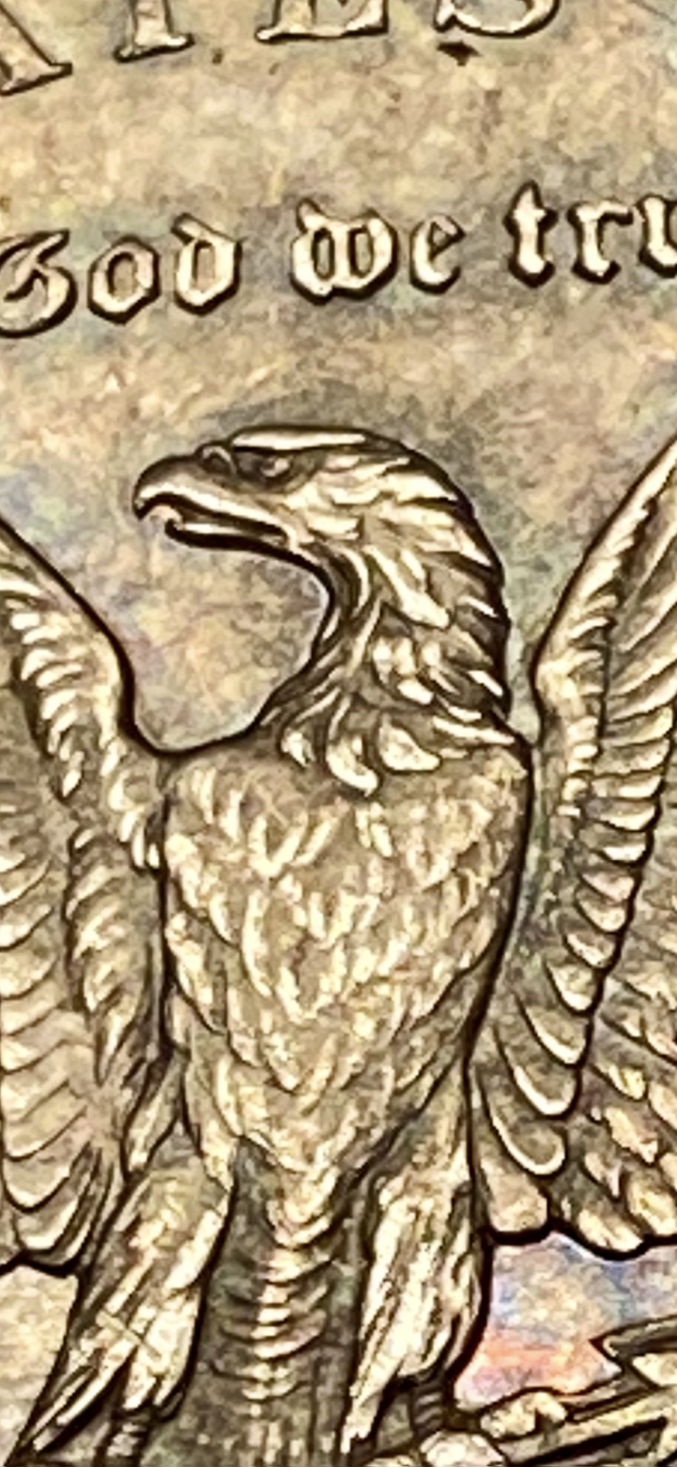IMG_2978.png