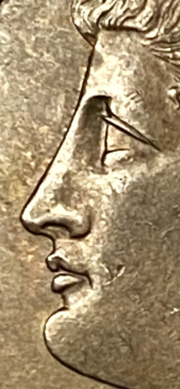 IMG_2981.png