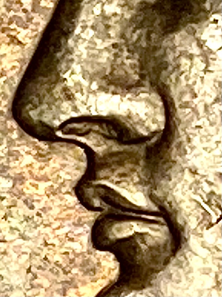 IMG_2986.jpeg
