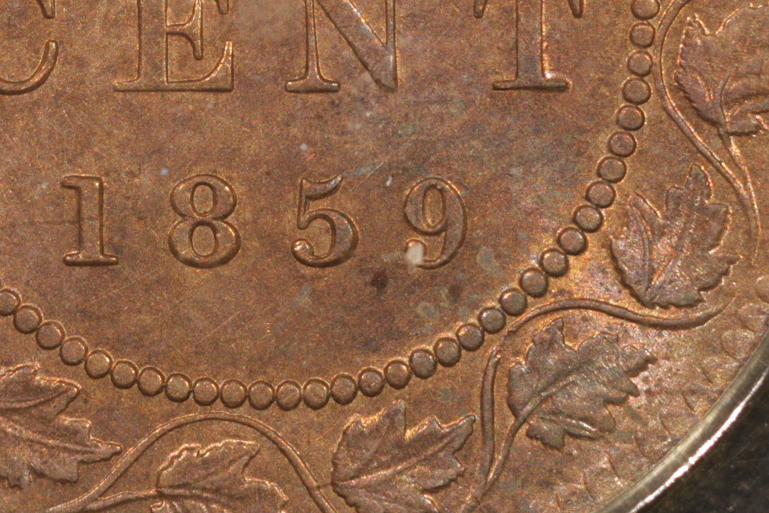 IMG_3074detail.JPG