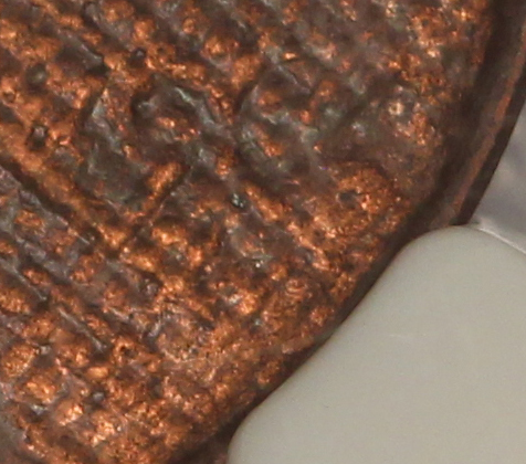 IMG_3092 closeup.jpg