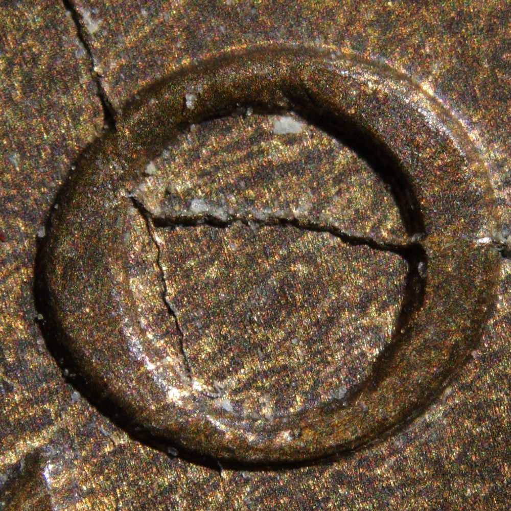 IMG_3163raw1crop1.JPG