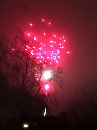 IMG_3642.JPG