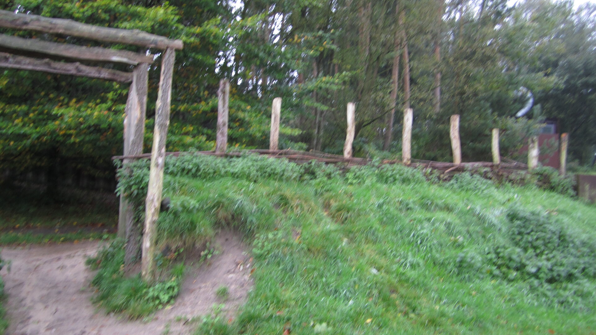 IMG_3692.JPG