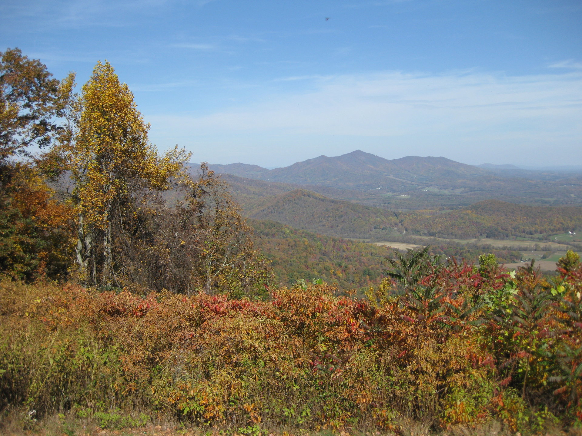 IMG_3790.JPG