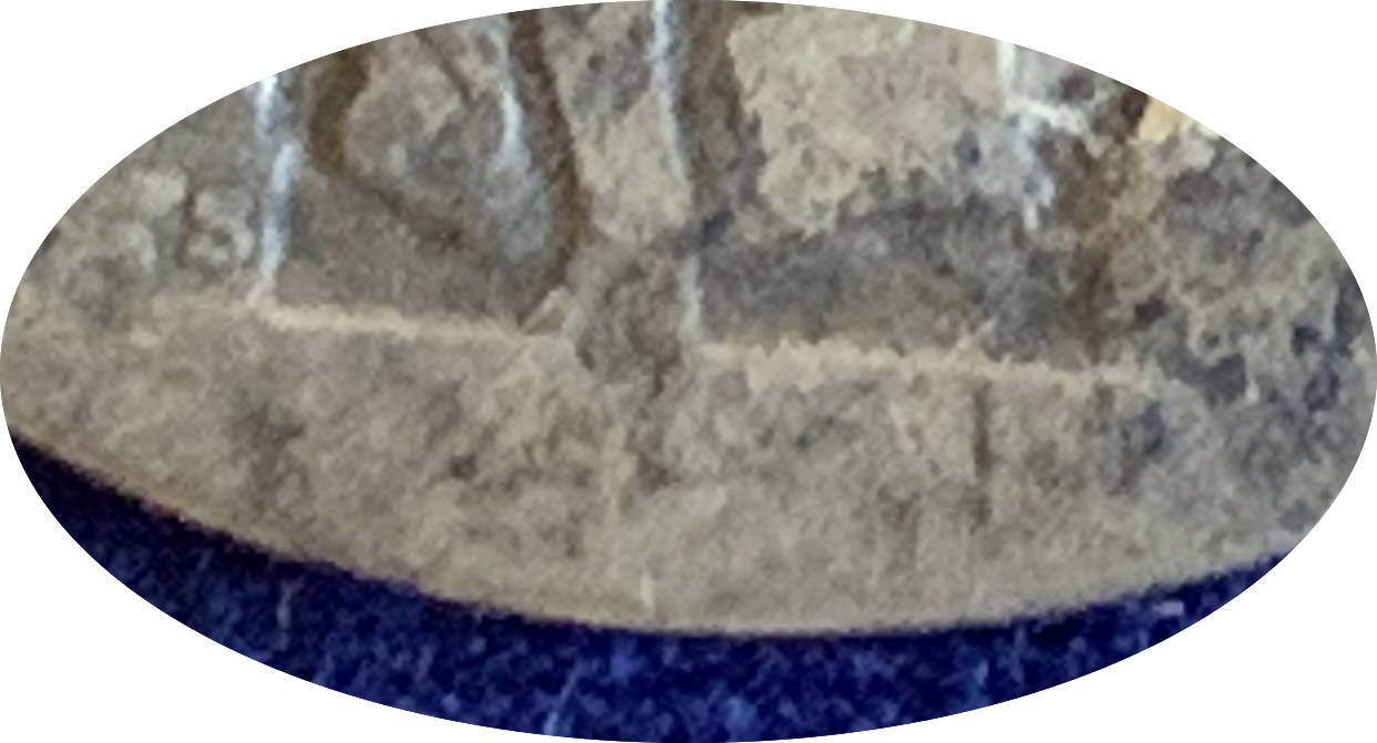 IMG_4032 copy 2.png
