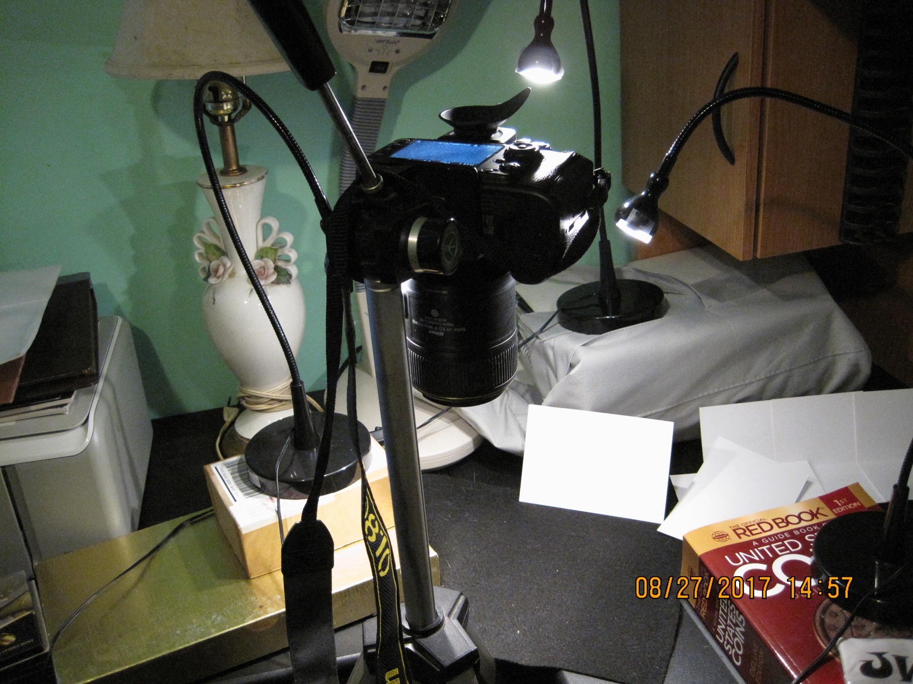 IMG_4267.JPG