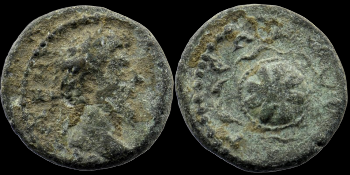 IMG_4416(1).PNG