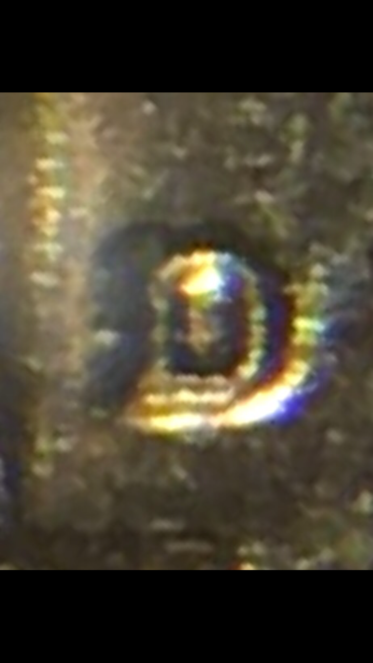 IMG_4534.PNG