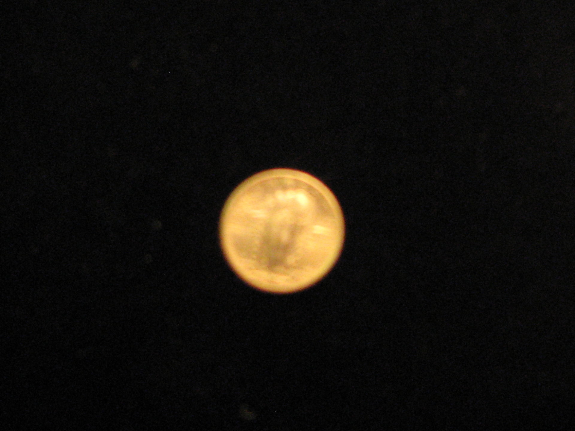 IMG_4541.JPG