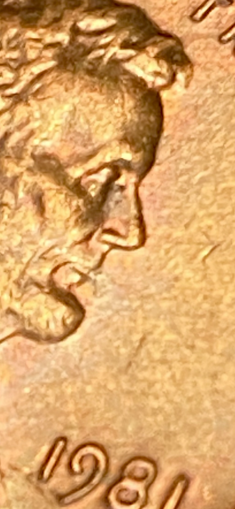 IMG_4668.png