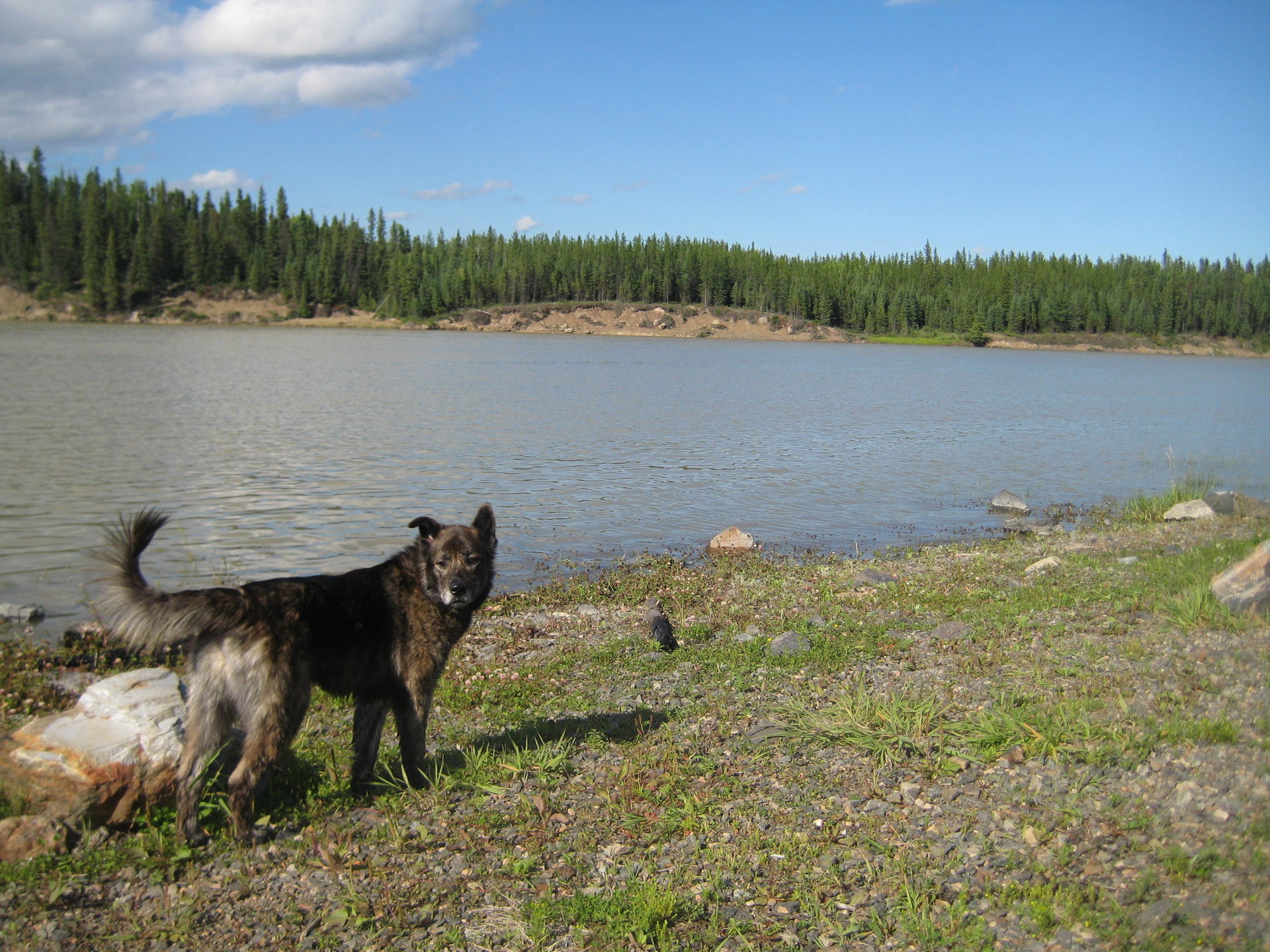 IMG_4824.JPG