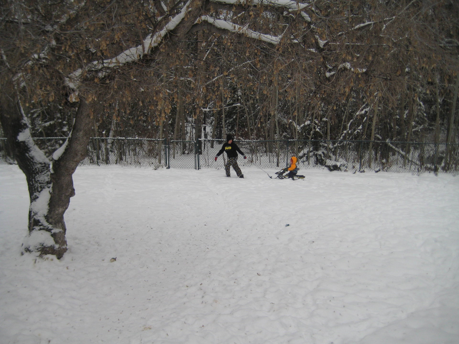 IMG_5281.JPG