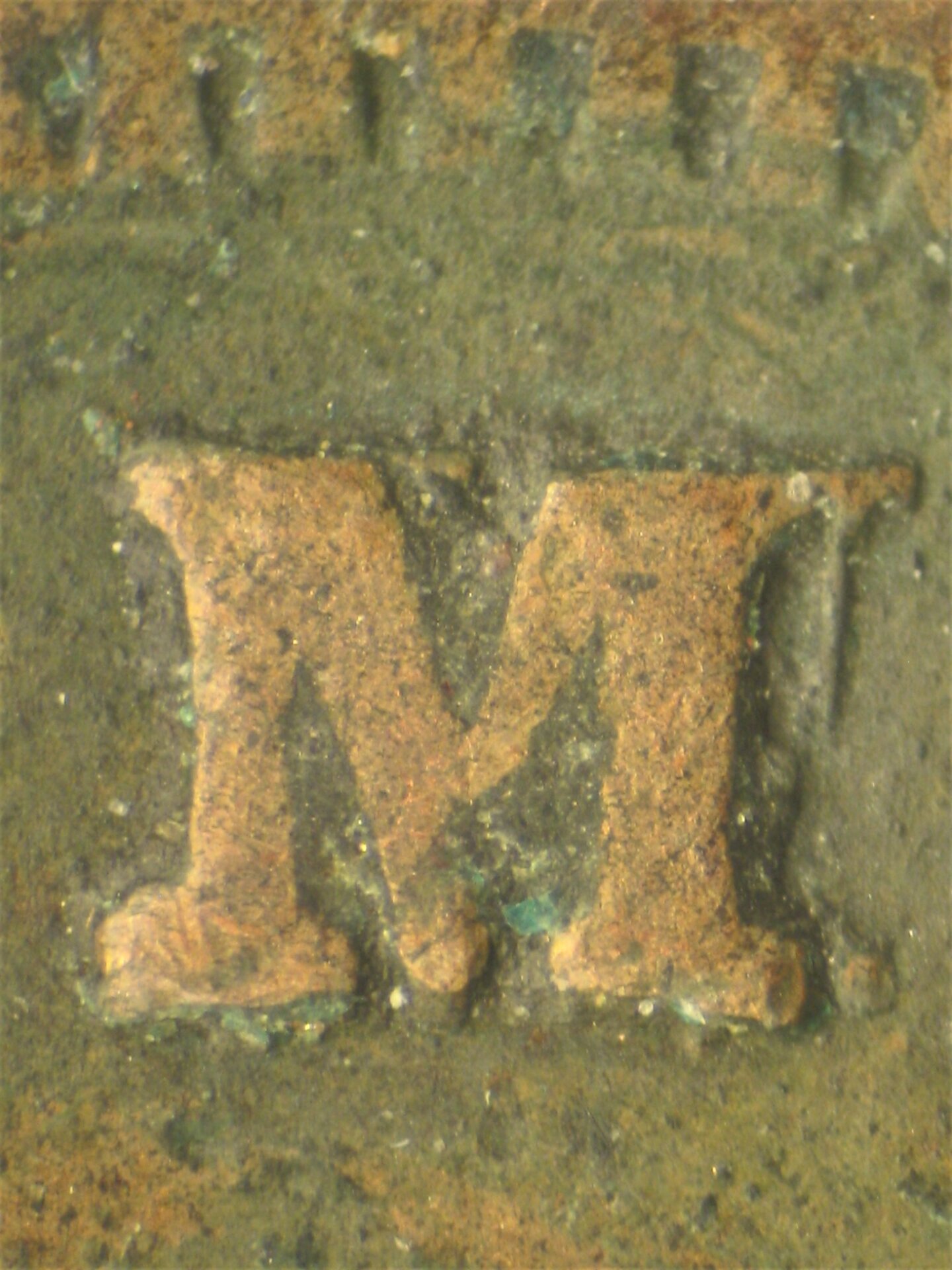IMG_5380.JPG