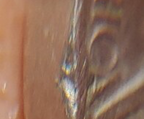 IMG_5418.jpeg