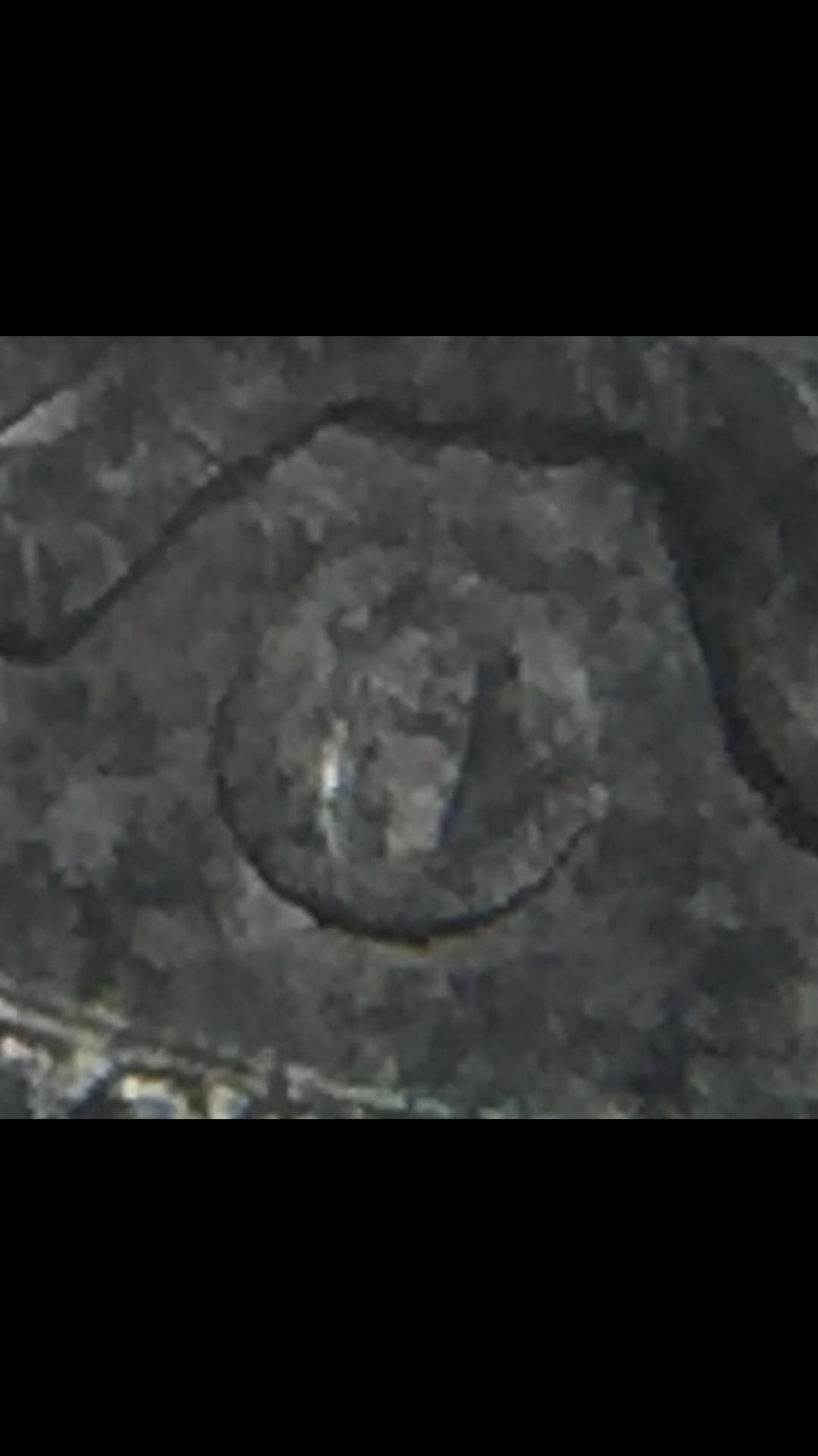 IMG_5631.PNG