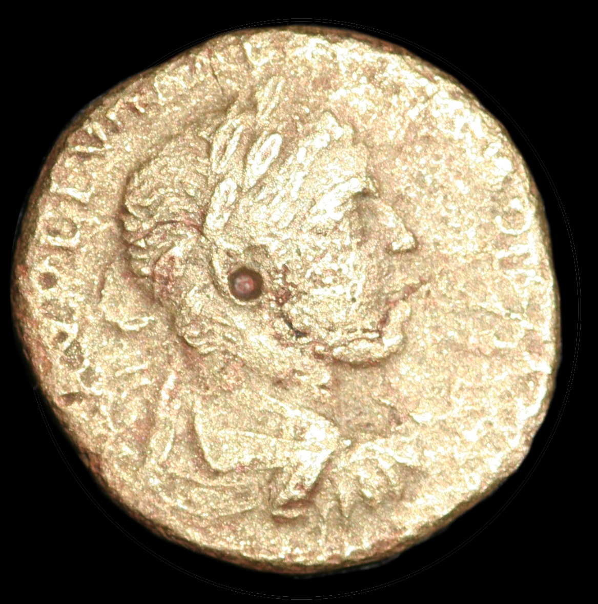 IMG_6202.png