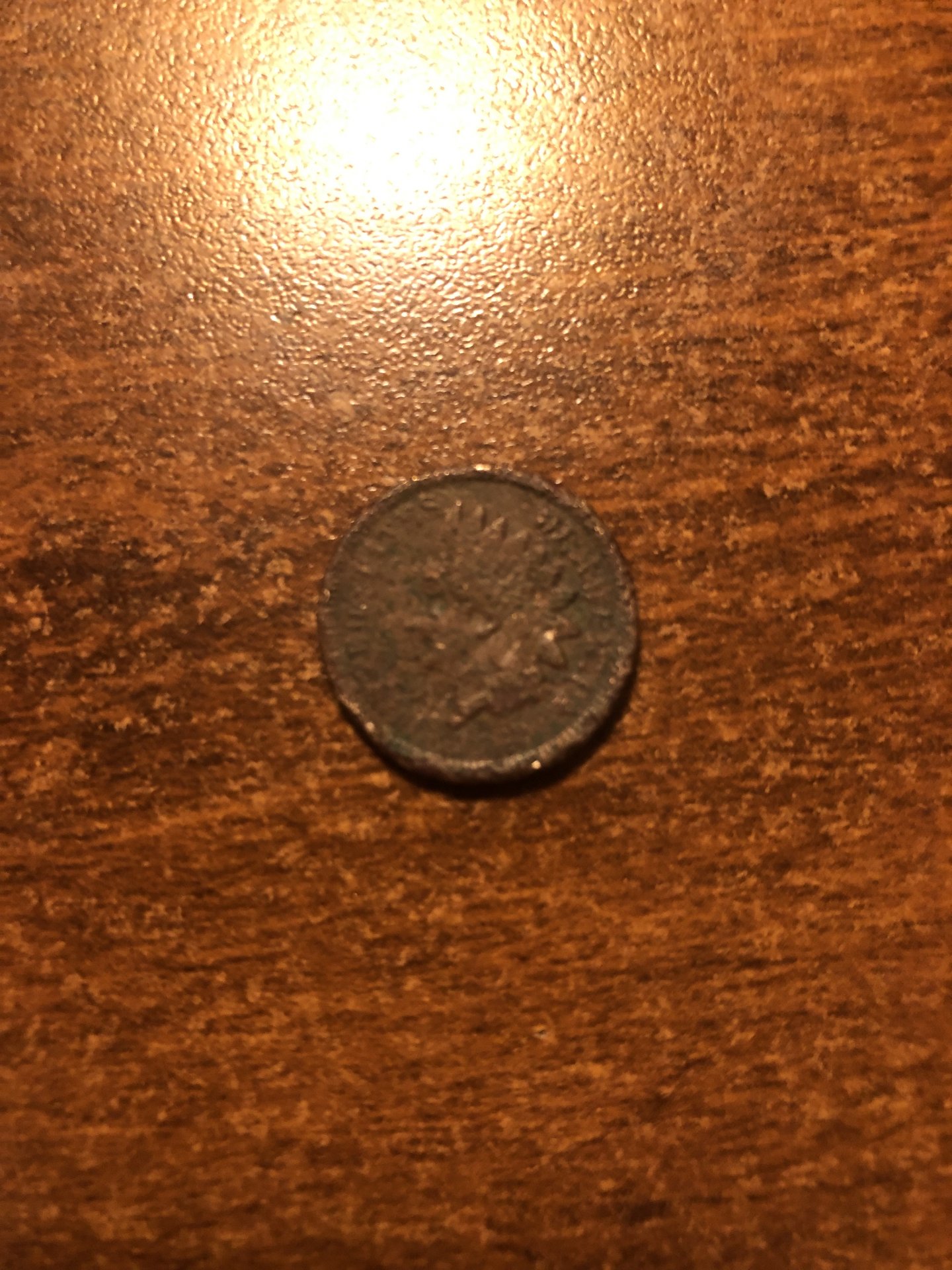 IMG_6271.jpeg