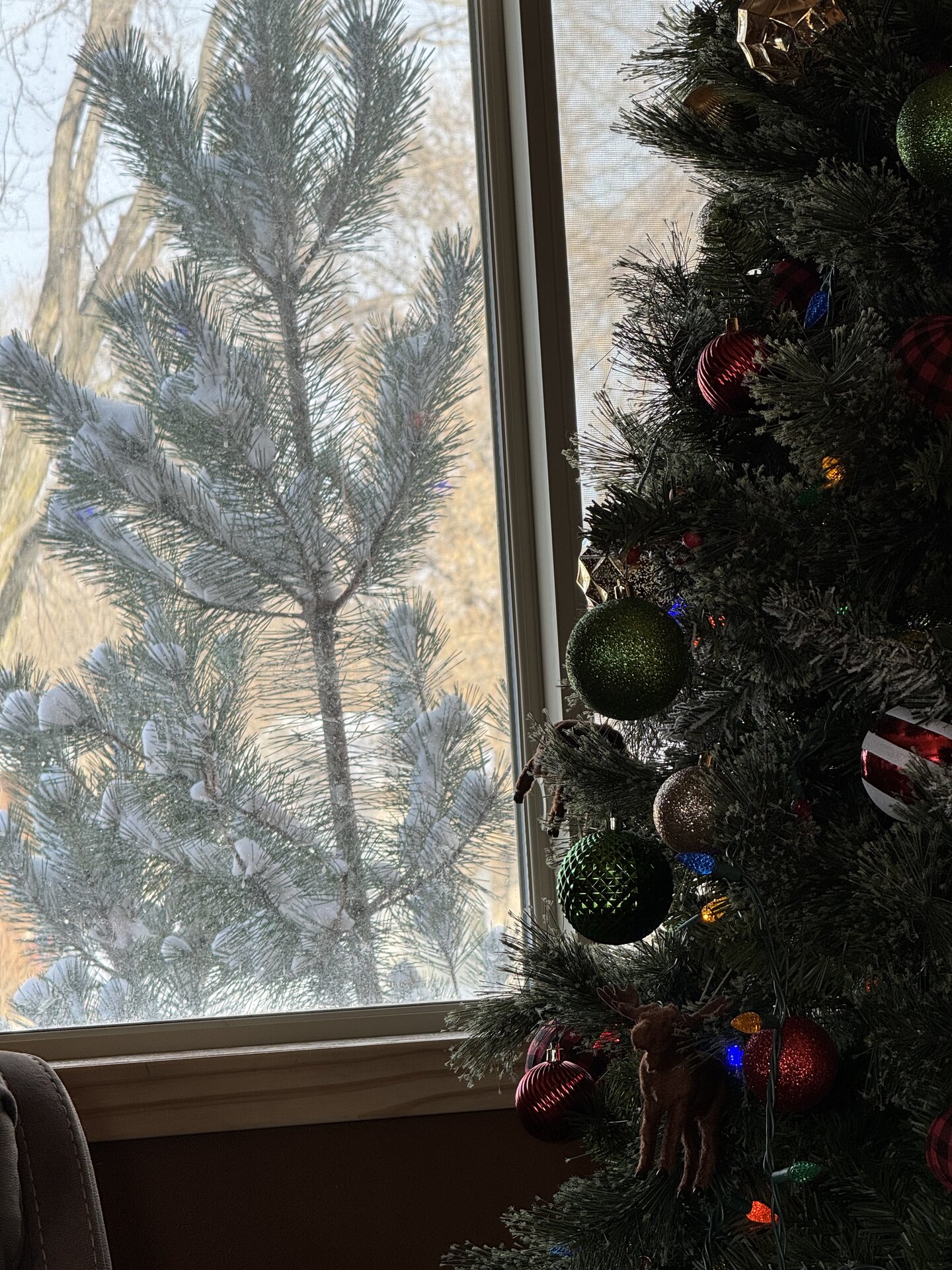 IMG_6540.jpeg