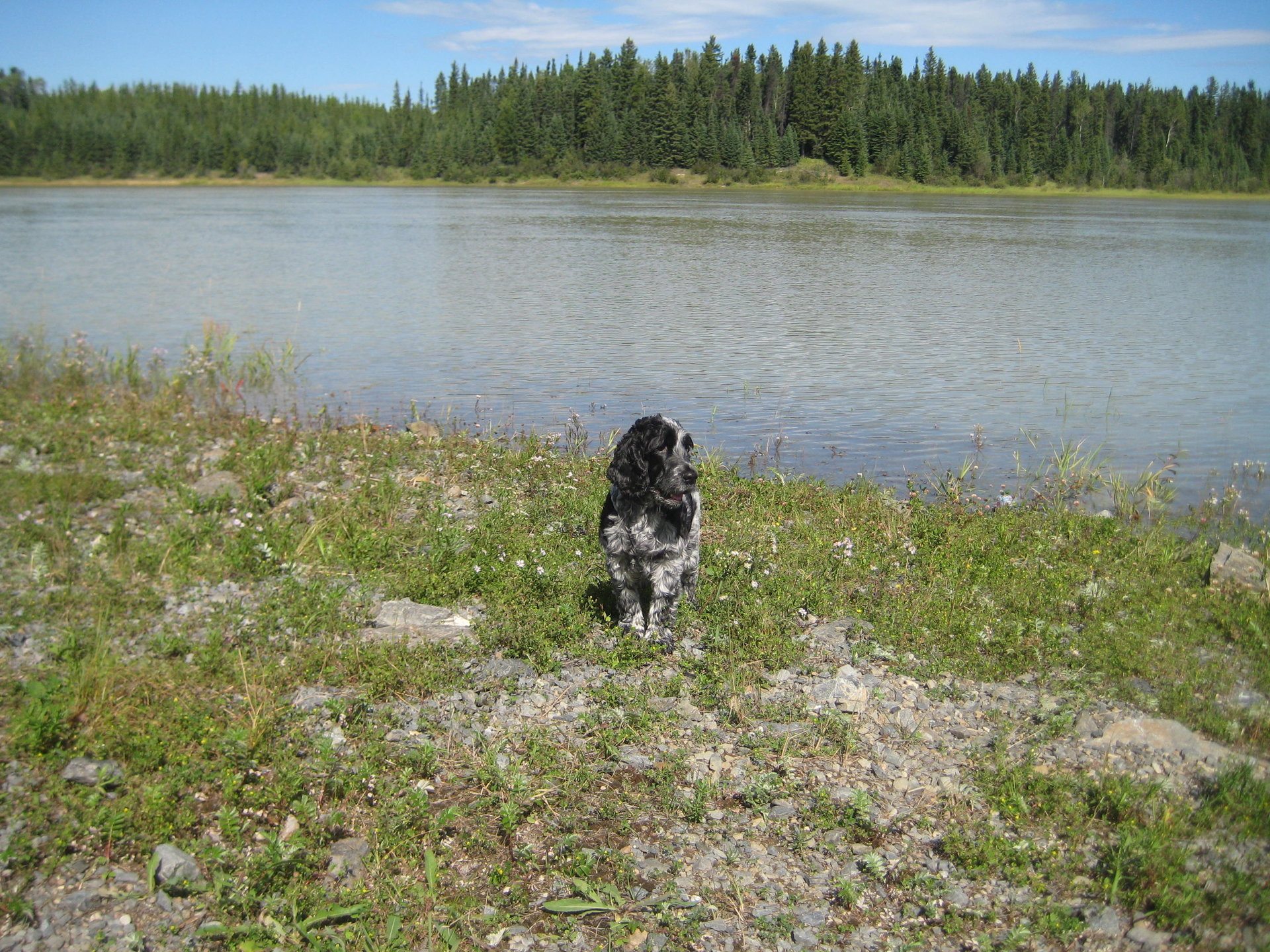 IMG_6634.JPG