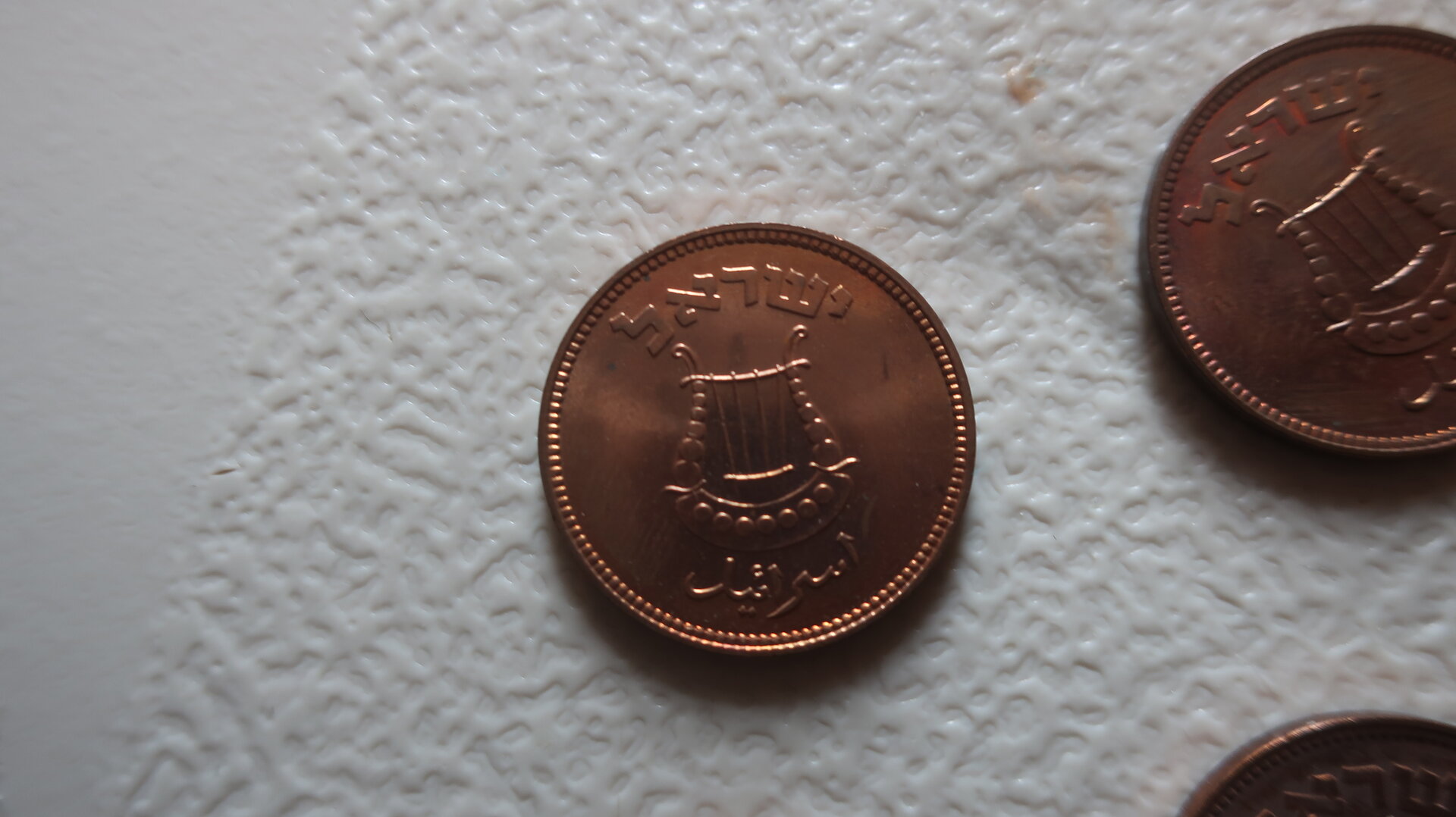 IMG_7014.JPG