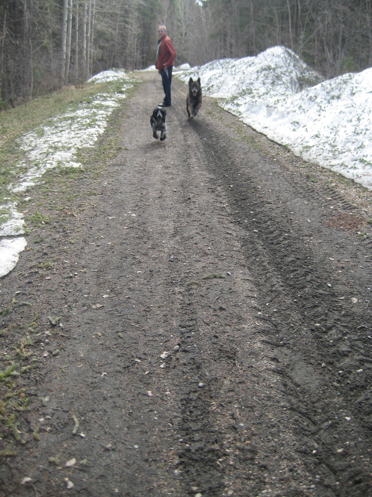 IMG_7454.JPG