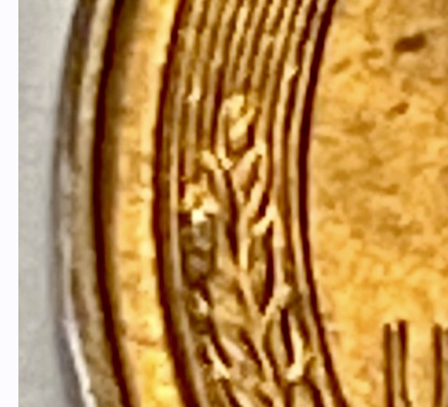 IMG_7484.jpeg