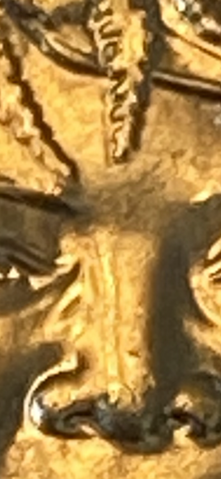 IMG_7546.png