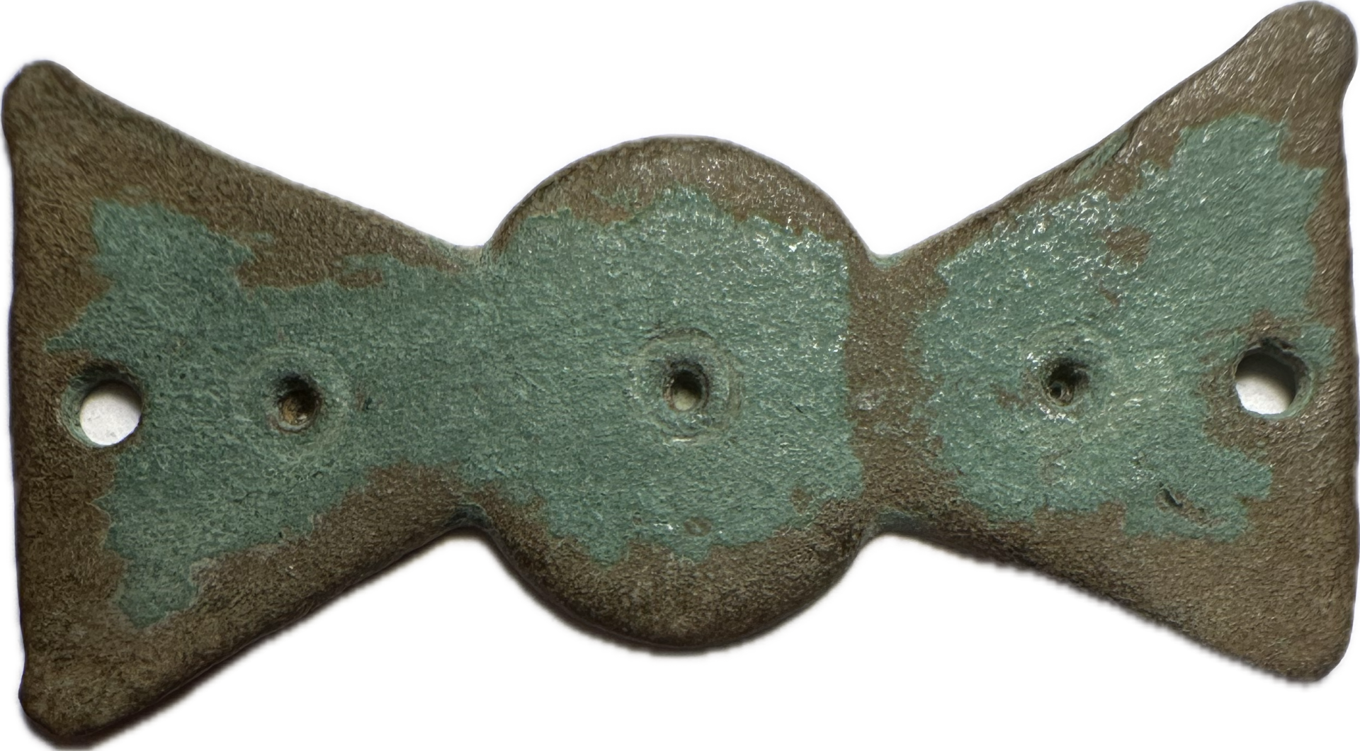 IMG_7961.png