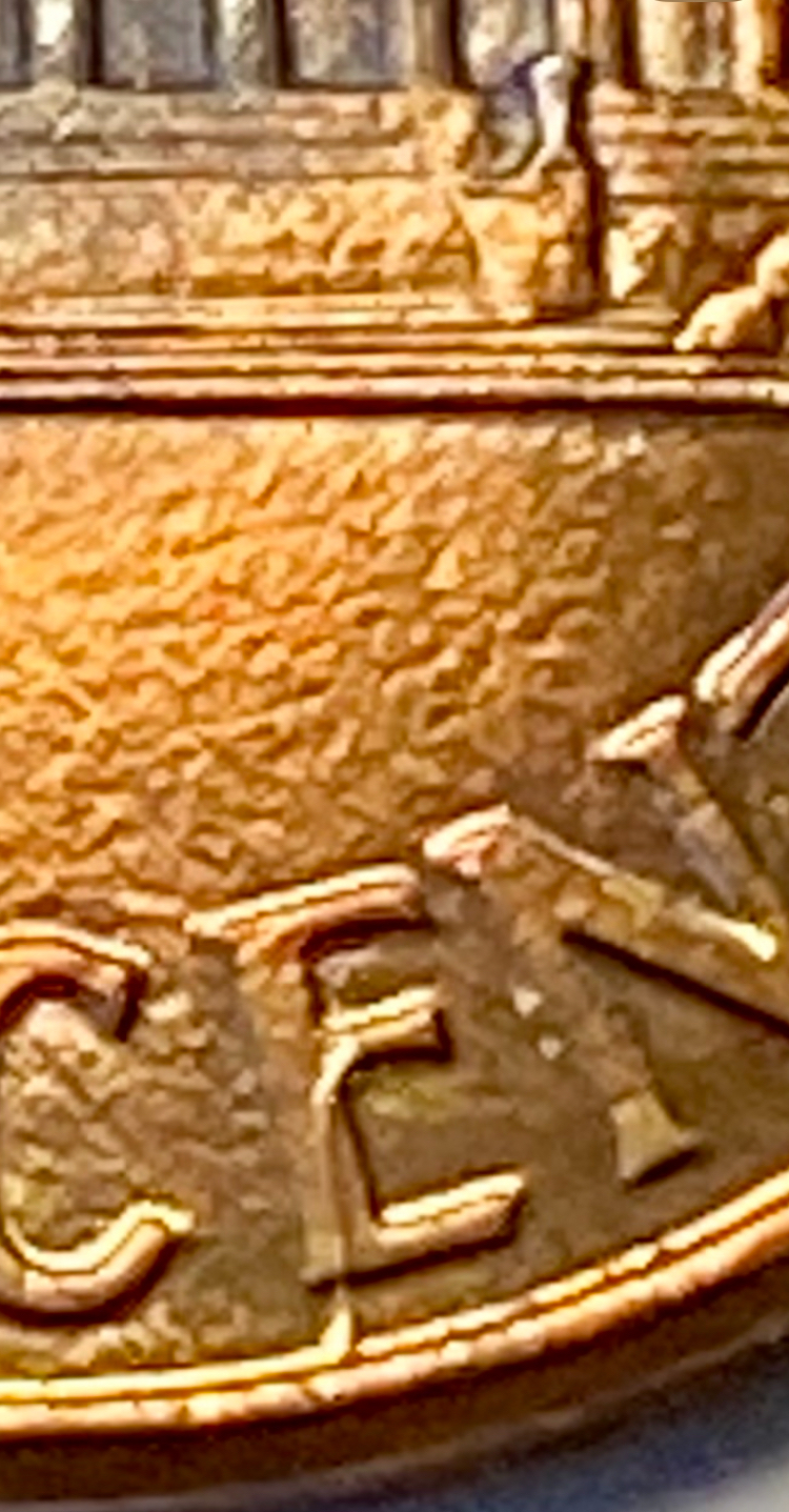 IMG_8131.jpeg