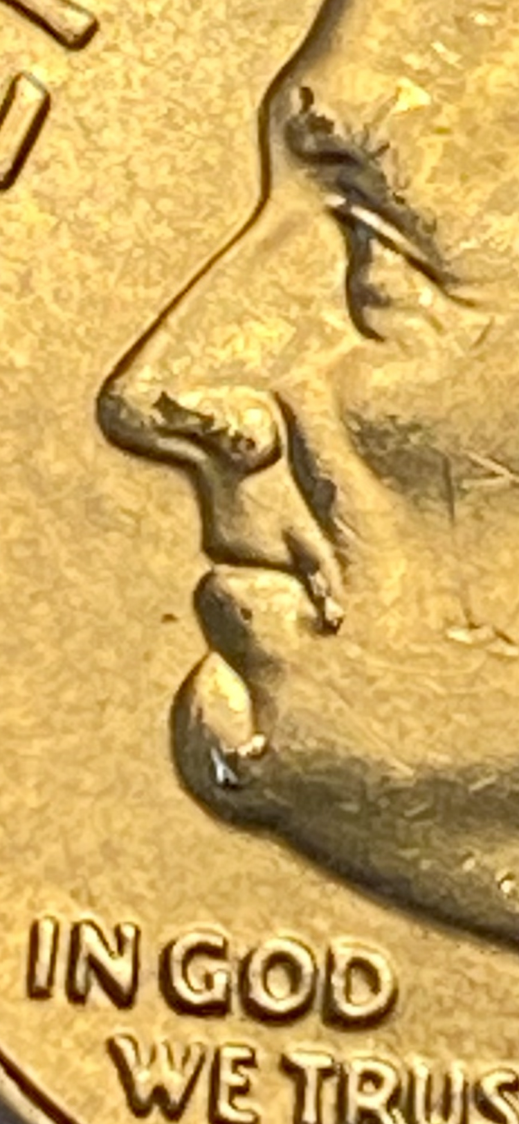 IMG_8335.png