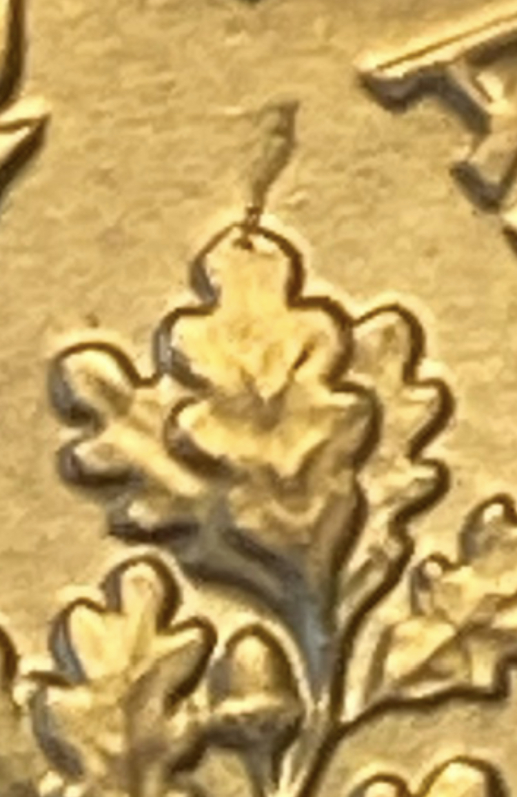 IMG_8340.jpeg