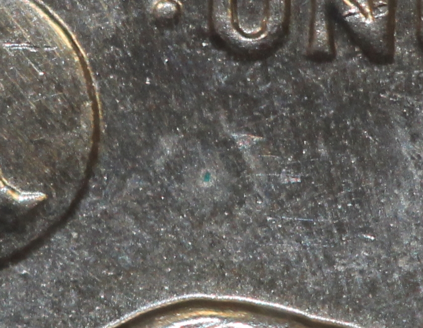 IMG_8462.JPG