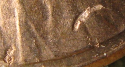 IMG_8492.JPG