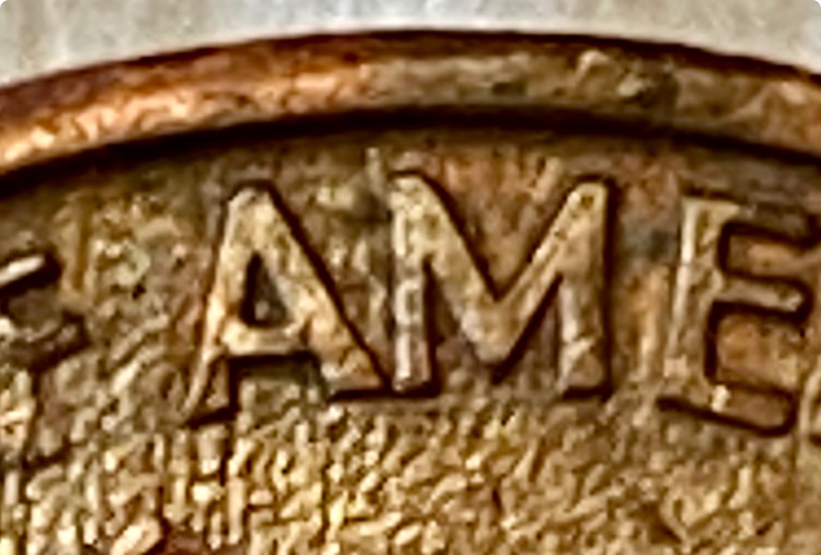 IMG_9822.jpeg