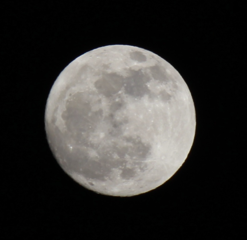IMG_9936.JPG
