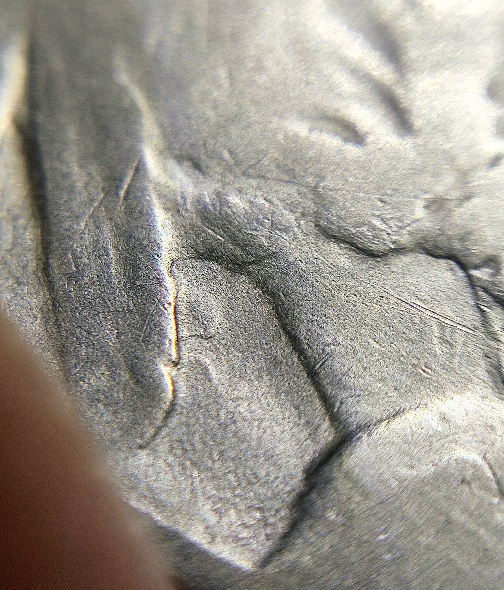 IMG_Feathers detail.jpg