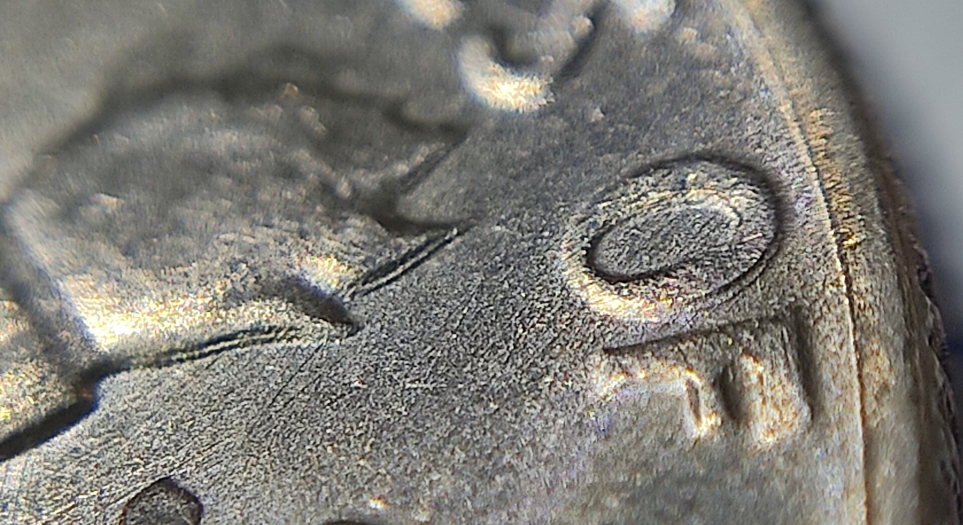 IMG_Torch dd.jpg