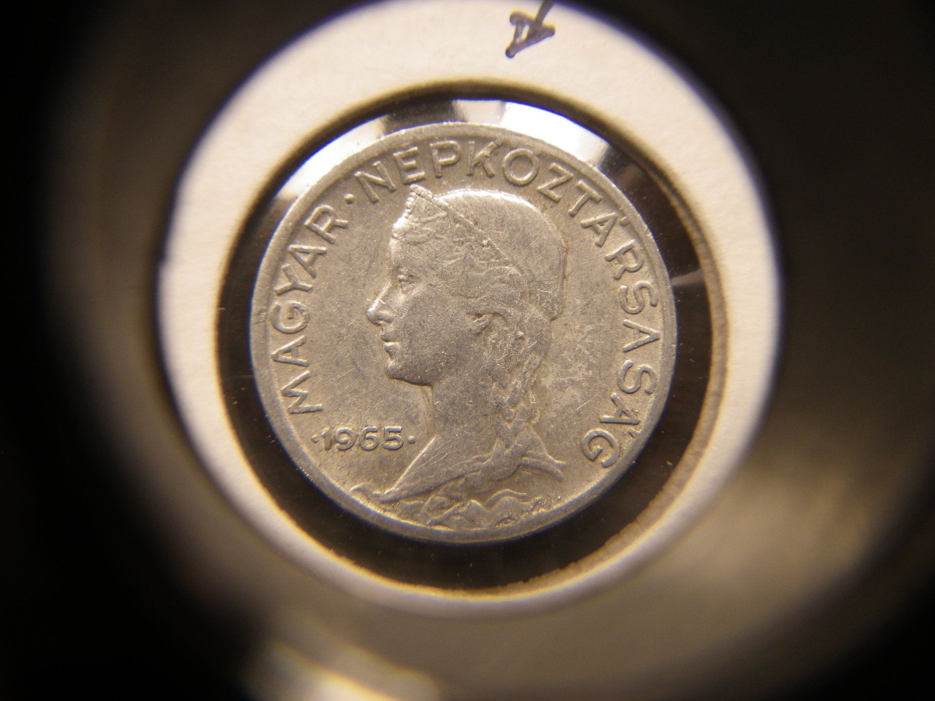 IMGP0007.JPG