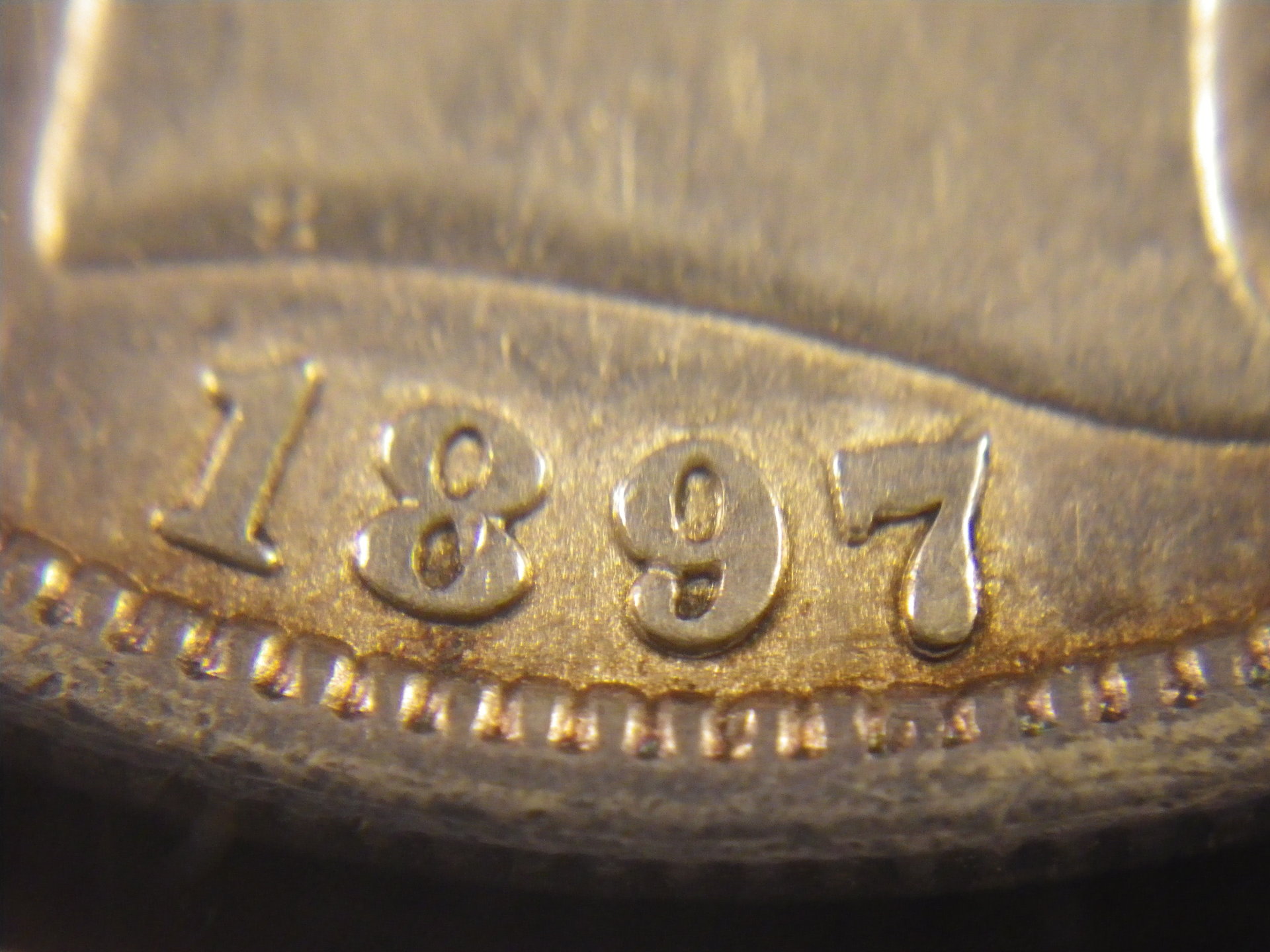 IMGP1196.JPG